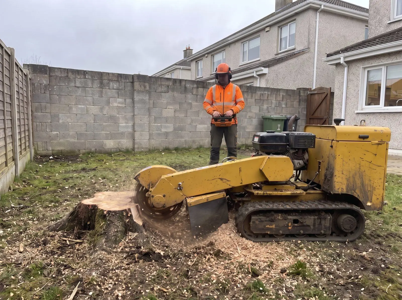Stump grinder working on a tree stump in a Dublin back garden