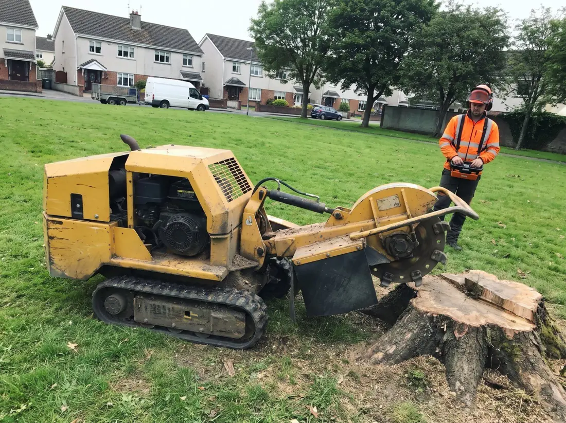 Large tracked stump grinder beside a big stump on an estate green, operator with remote control