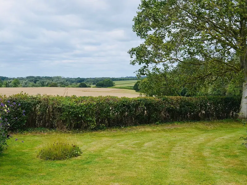 Back garden lawn with a hedge and fields beyond